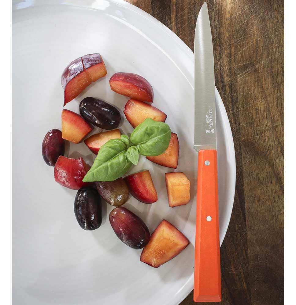 Bon Appetit No.125 Table Knife – Tangerine